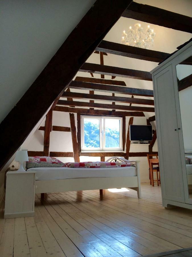 Апартаменти Haus Am Ufer Mit Rheinpanoramablick Кобленц Екстер'єр фото